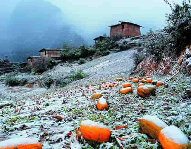 公立幼儿园会有小小班