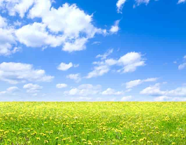 男人说没有你不开心