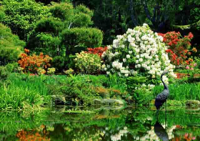 梅西竞彩十大点球