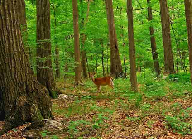 安徽蚌埠徽州宴现在生意好吗