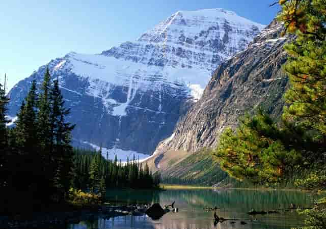 2020高校专业录取