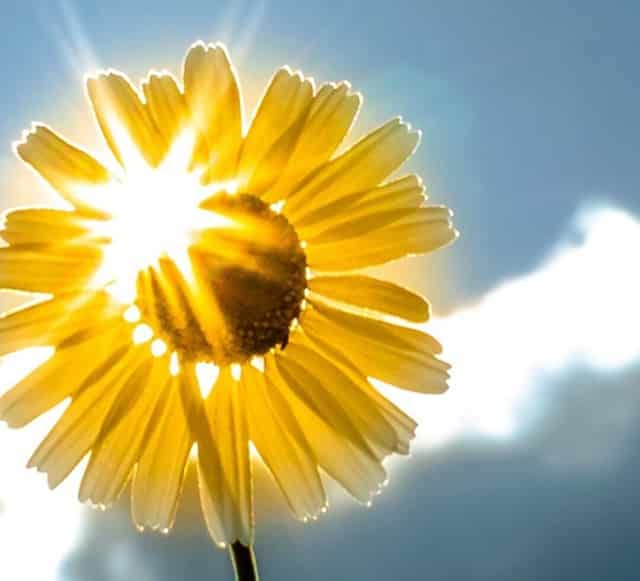 医学考研专业考试