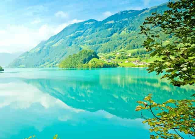 打了疫苗需要注意点啥