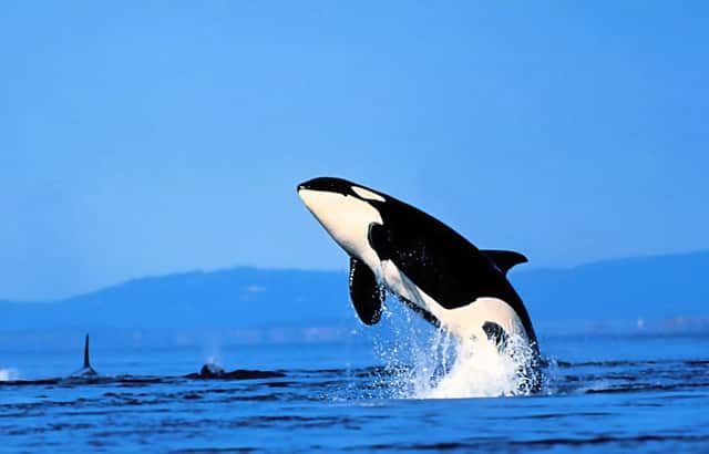 企业新型环保产业