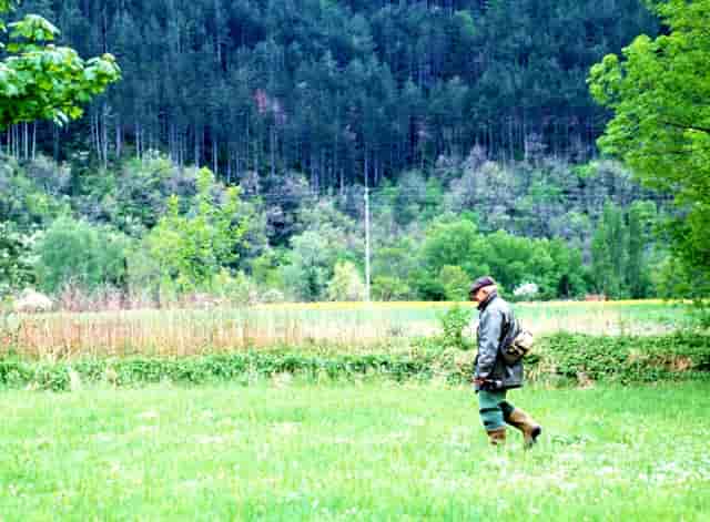 微软新应用商店