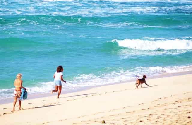 按高考分数线大学